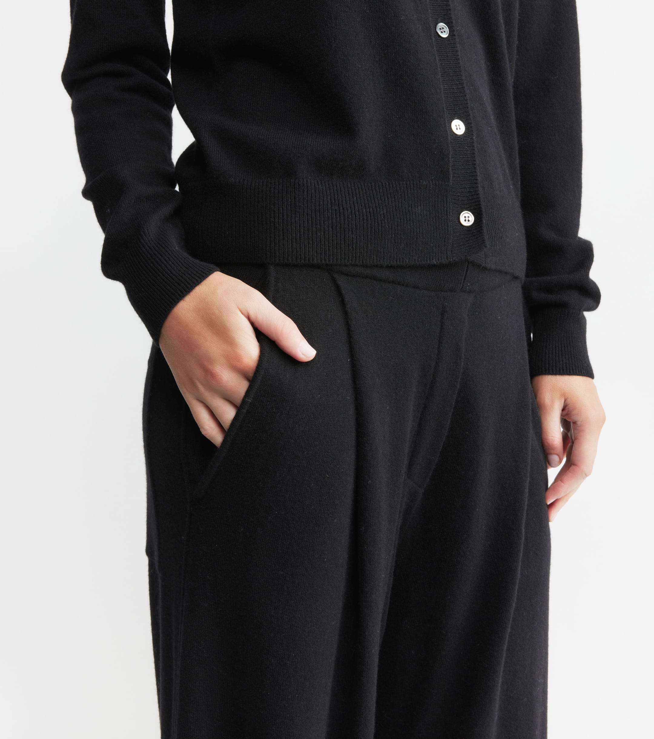 Cashmere Pleat Front Trouser - Black